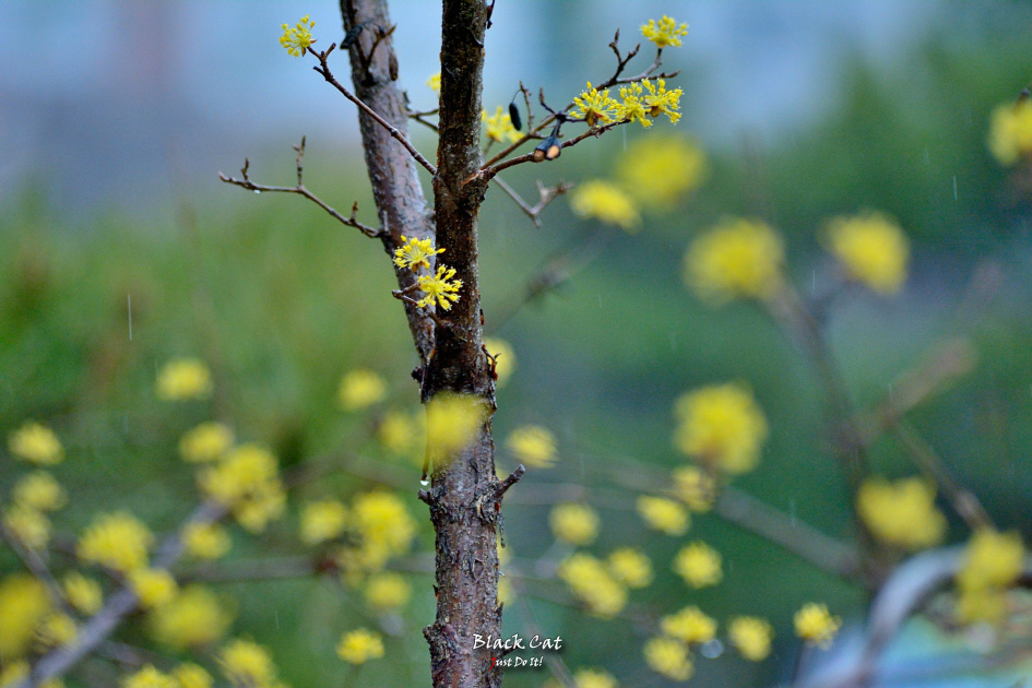 봄의 시작선에서(Road 111)-영천 시안미술관