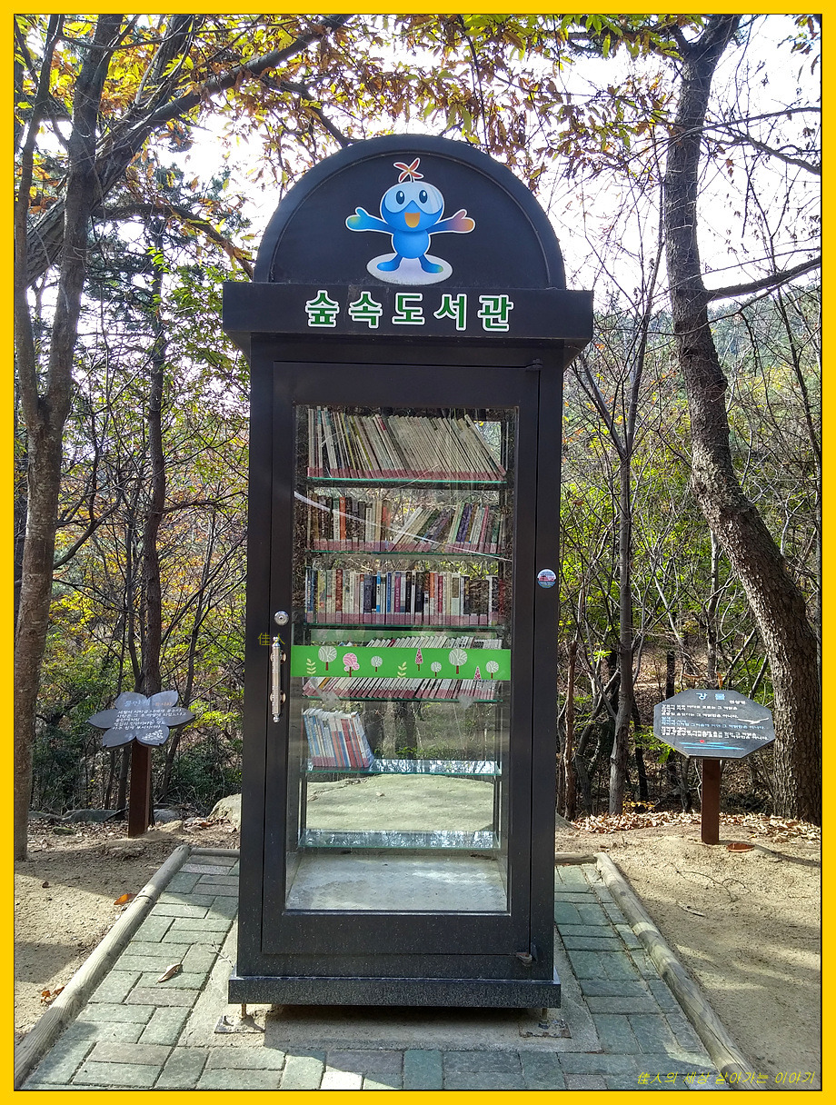갈맷길 숲속 도서관 풍경