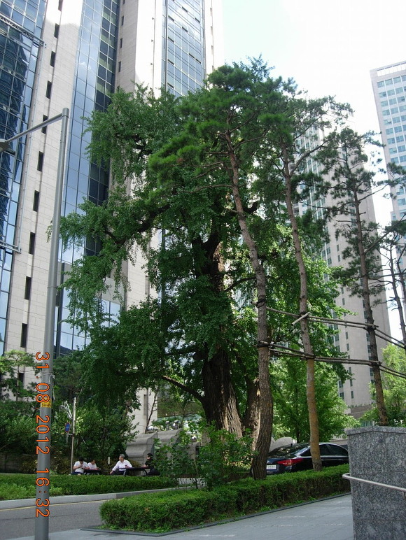 경기대학 경영학과(75년 졸업) 경후회(經厚會) 모임이 있는날