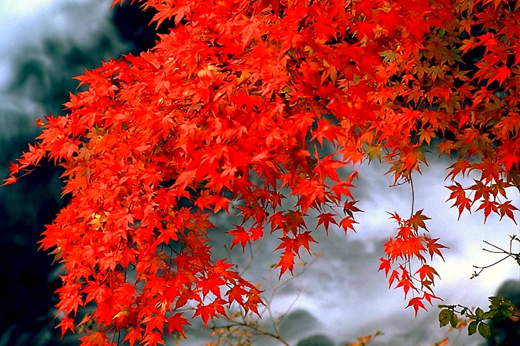 2157E345526D24B5344DDA