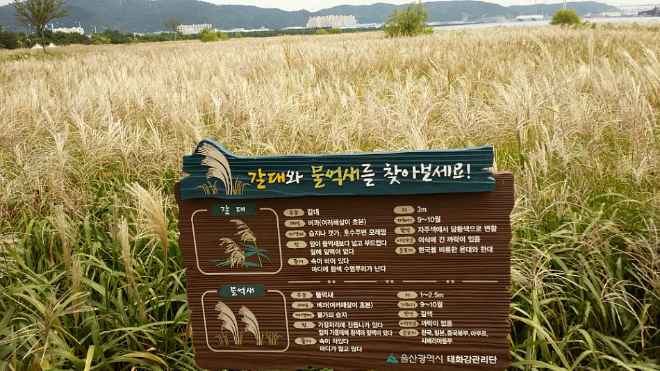 청춘7080 이미지