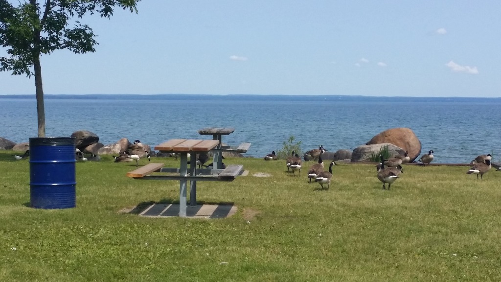 my soul place /946 lake drive..jacksons point.