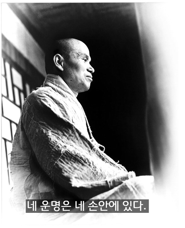 '네 운명은 네 손안에 있다.' 성철스님 말씀. 