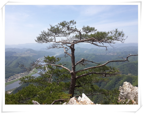 춘천새윤병원 이미지