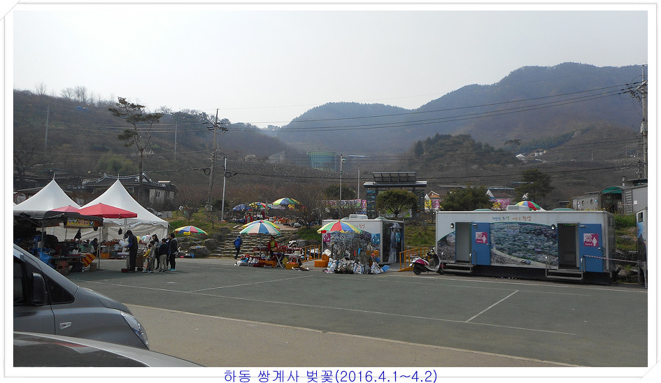 매실농원 이미지