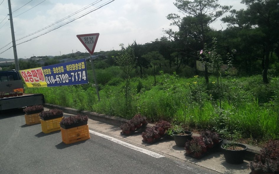 농산물판매장 이미지