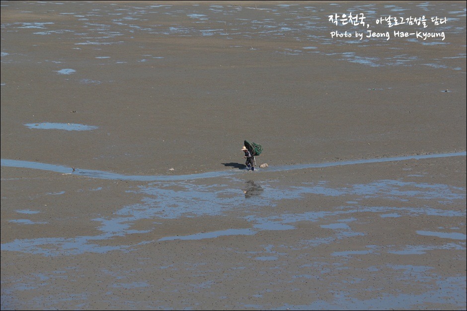 2012년 혼자이기도, 혼자가 아니기도 