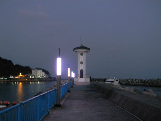 울산 당사항 (당사항의 야경)