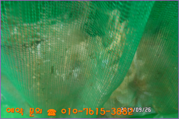 233D5A4B542562090265A8