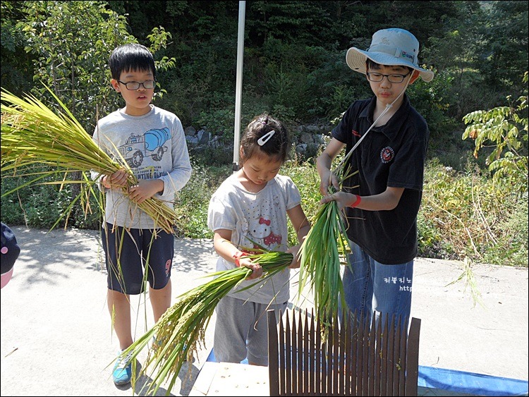 234B154654170EC4123A7F