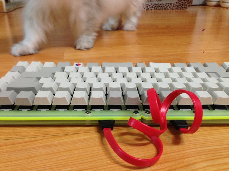 234DF94D54E0053D250A71