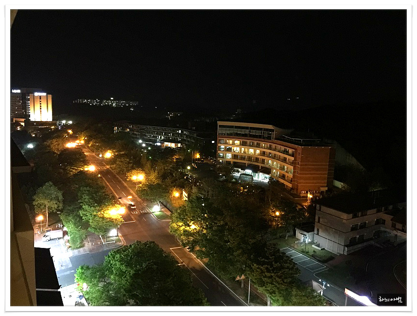 경북산곰장어 이미지