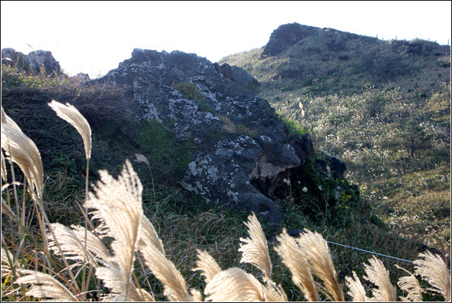 2355BE455459E07932BDCE