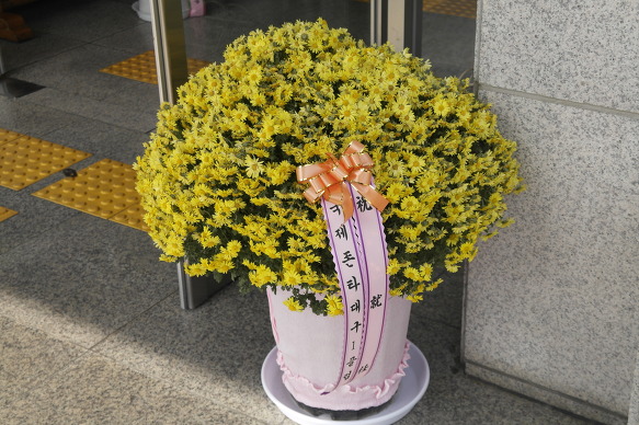 동구노인종합복지관 이미지