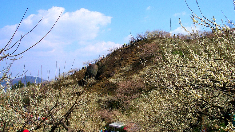 2373F347532BFE603B2BEB