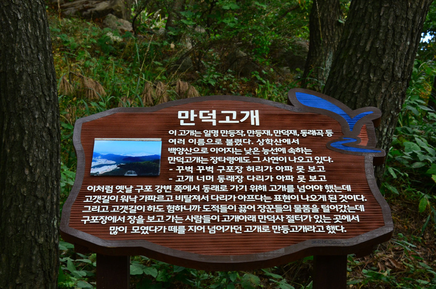 (505차) 2013 금정산 가을 종주산행