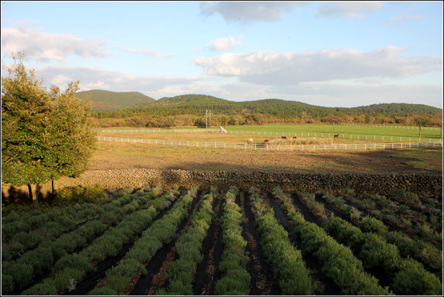 24080B385459CAFE1C1D36