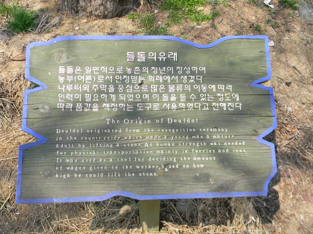 예천 삼강주막 (2) 회화나무