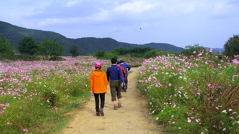 2412783B542BECF233DB68