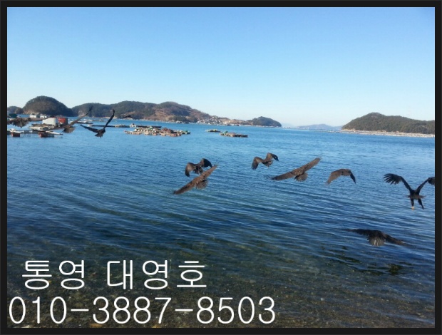 대영호]생활낚시 자~알됩니다!!
