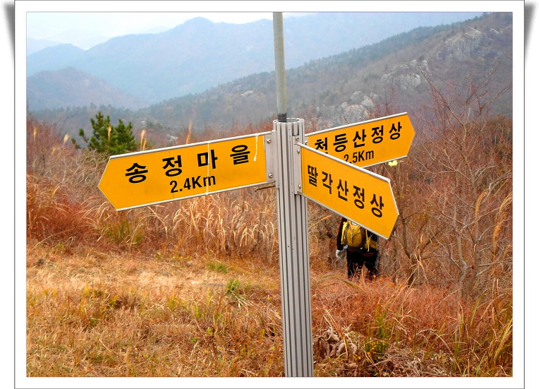 나로도주유소 이미지