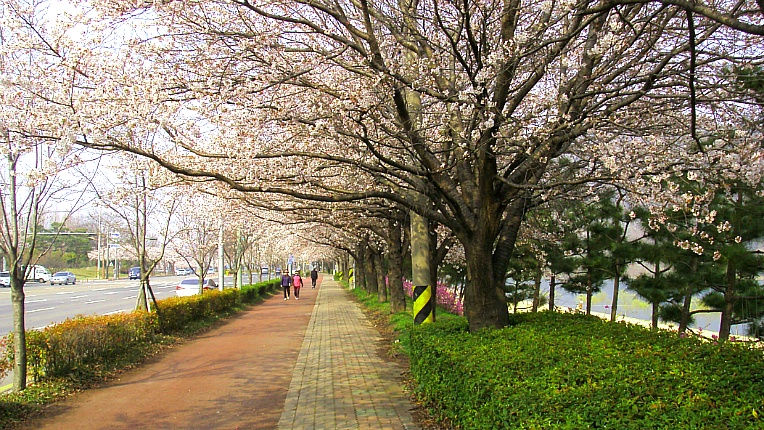 2510363F551902BA2A2D6B