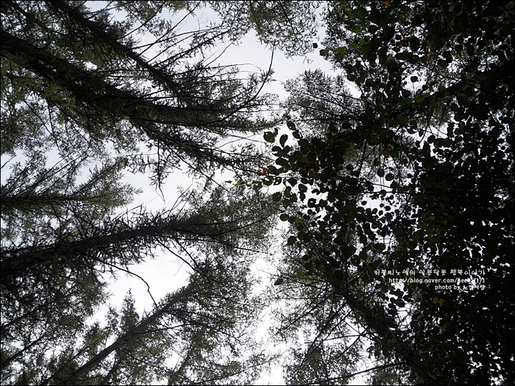 253EC74C541AA11409719C