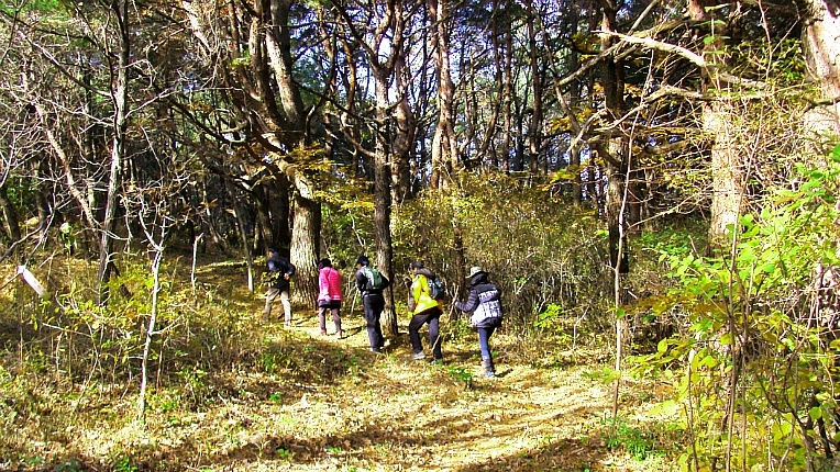 25493343546727FE227CBA