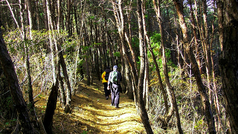 25527344546727FA2043BC