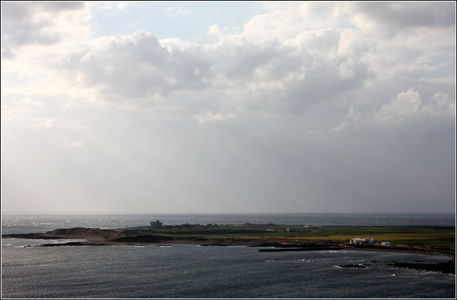 255E2D445459E12B29D7F5