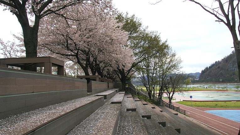 255F3F4D5702225D063CD9