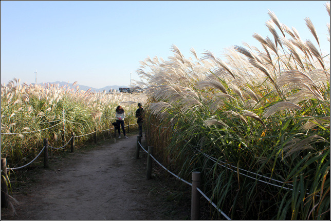 256596475449DFB71C468E