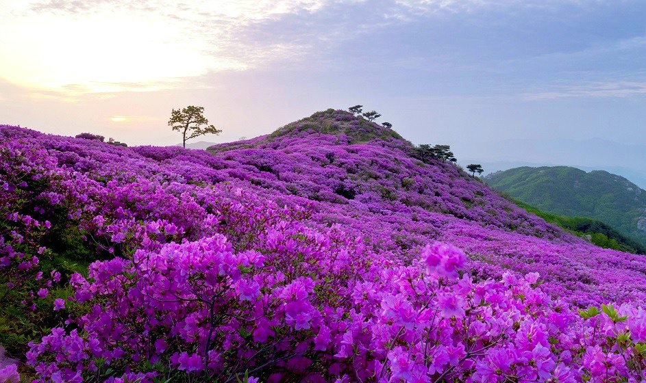 세명여행사 이미지