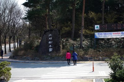 대구수목원과 인근 야산의 깽깽이풀과 야생화