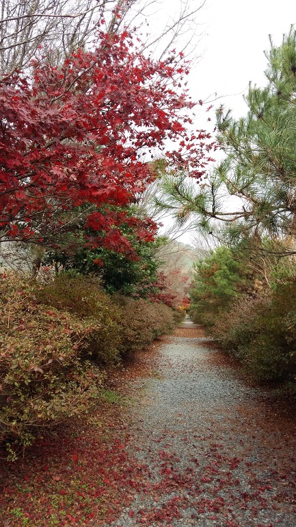 강진 남미륵사