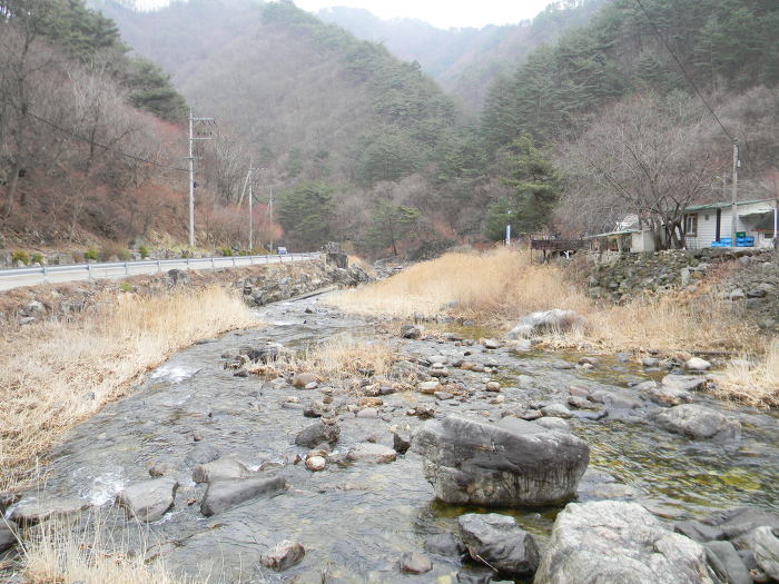 영월 김삿갓유적지 마무리 (마포천, 섶다리)