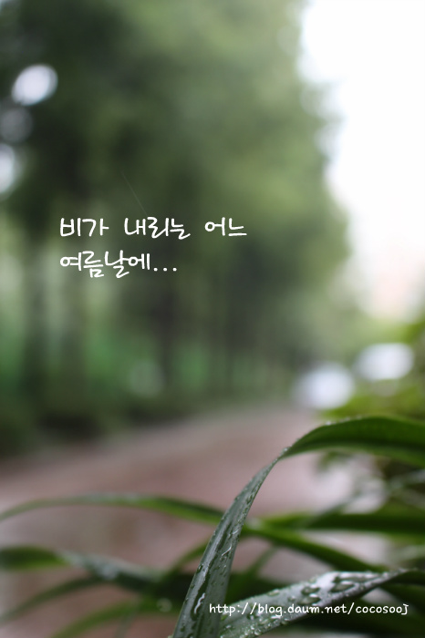 전주 서일초등학교 책읽기교실 동화이야기..