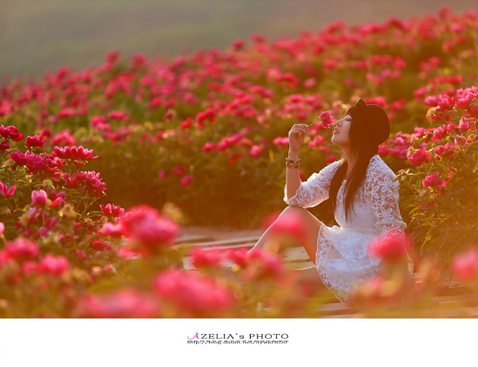 나의오월은....사진은 추억이다