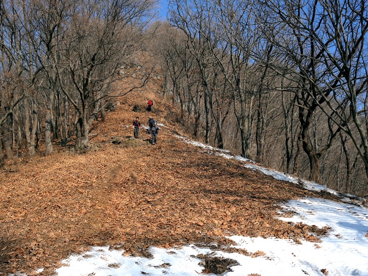 신년산행은 가평 대금산에서 가볍게 !