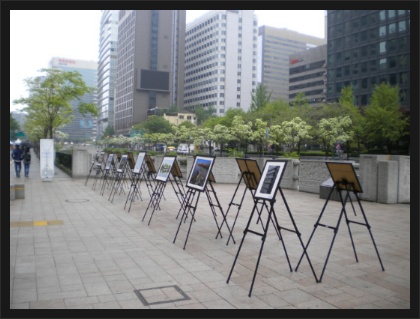 제21회 전국환경사진공모전 순회 전시