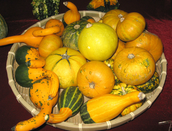 271B074B560307301C3354