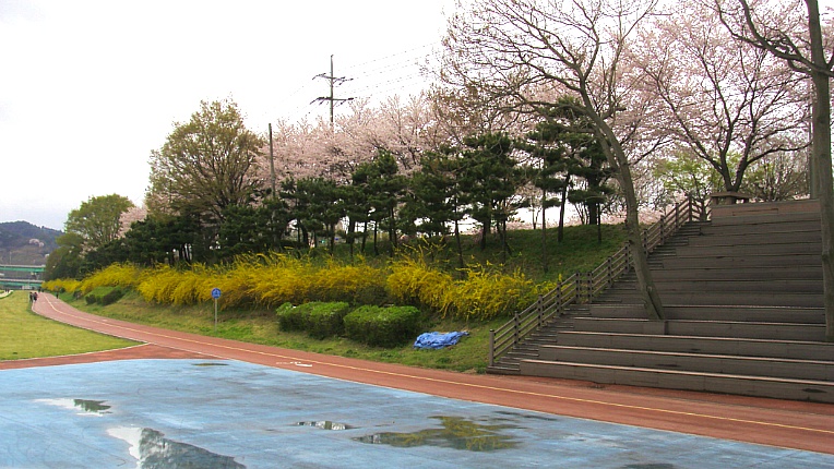 27338D4D570222602FDA57