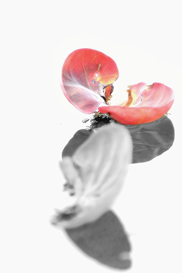 15 연애(蓮-愛)  Prologue