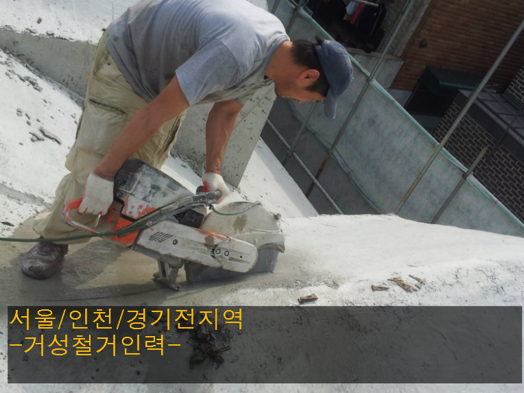 거성인력 이미지