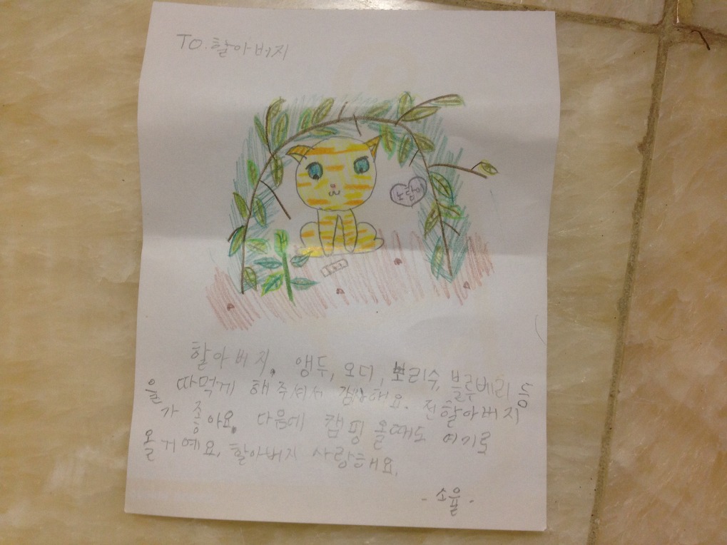 진경원민박캠핑장 이미지
