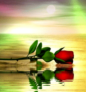 277F315054E02FF033203B