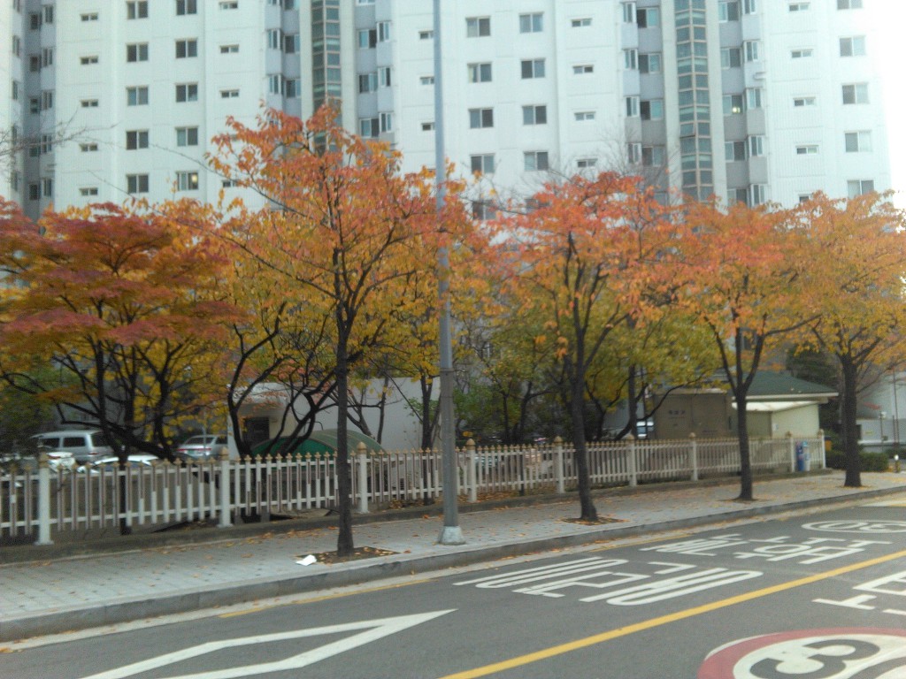 17.11.13(月)