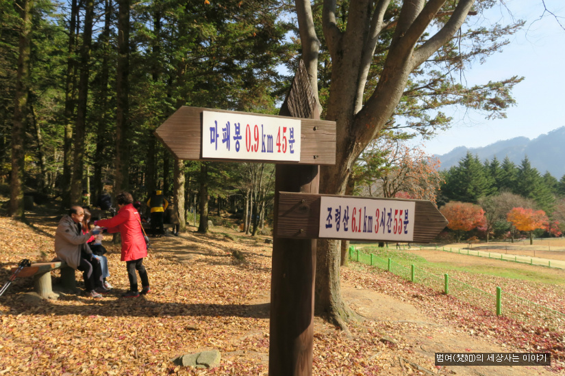 새재마루 이미지