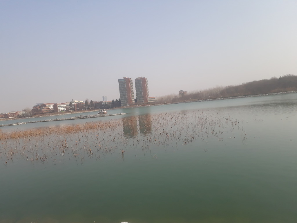 미세 먼지