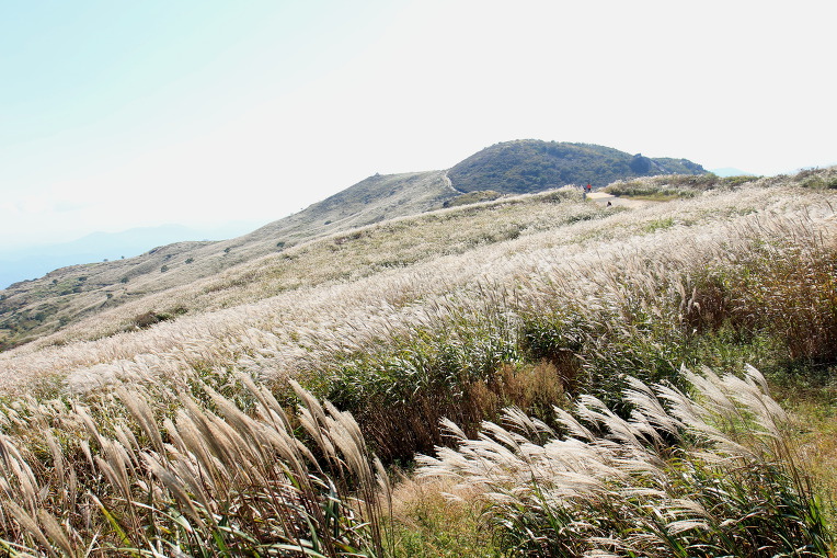 * 합천 황매산 억새 축제 산행기